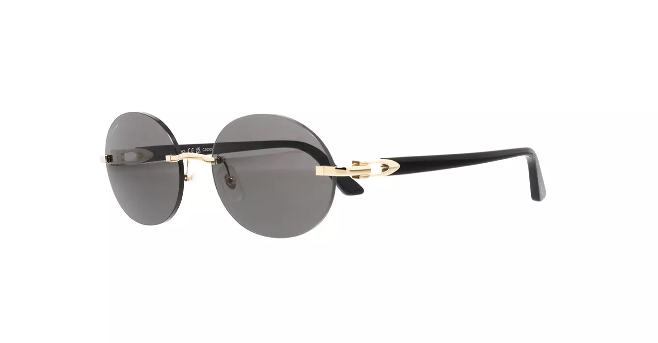 Cartier CT0005CS 033 s58