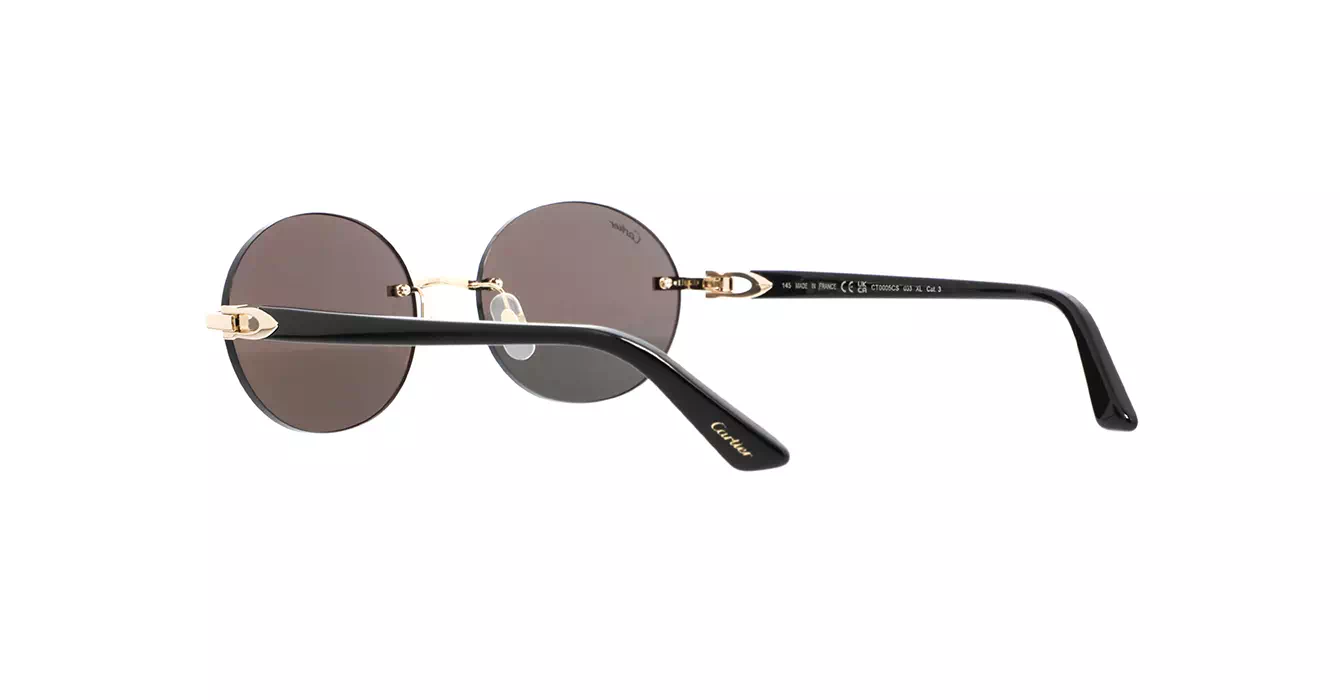 Cartier CT0005CS 033 s58