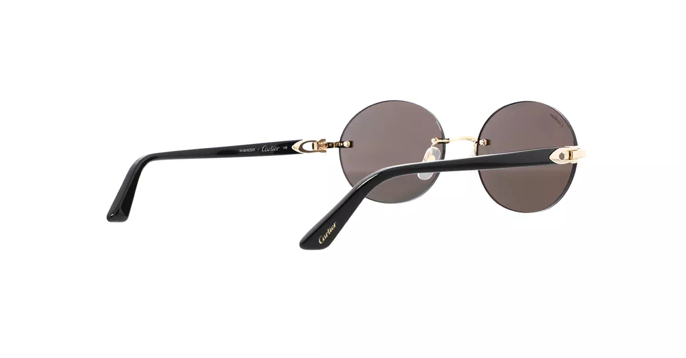 Cartier CT0005CS 033 s58