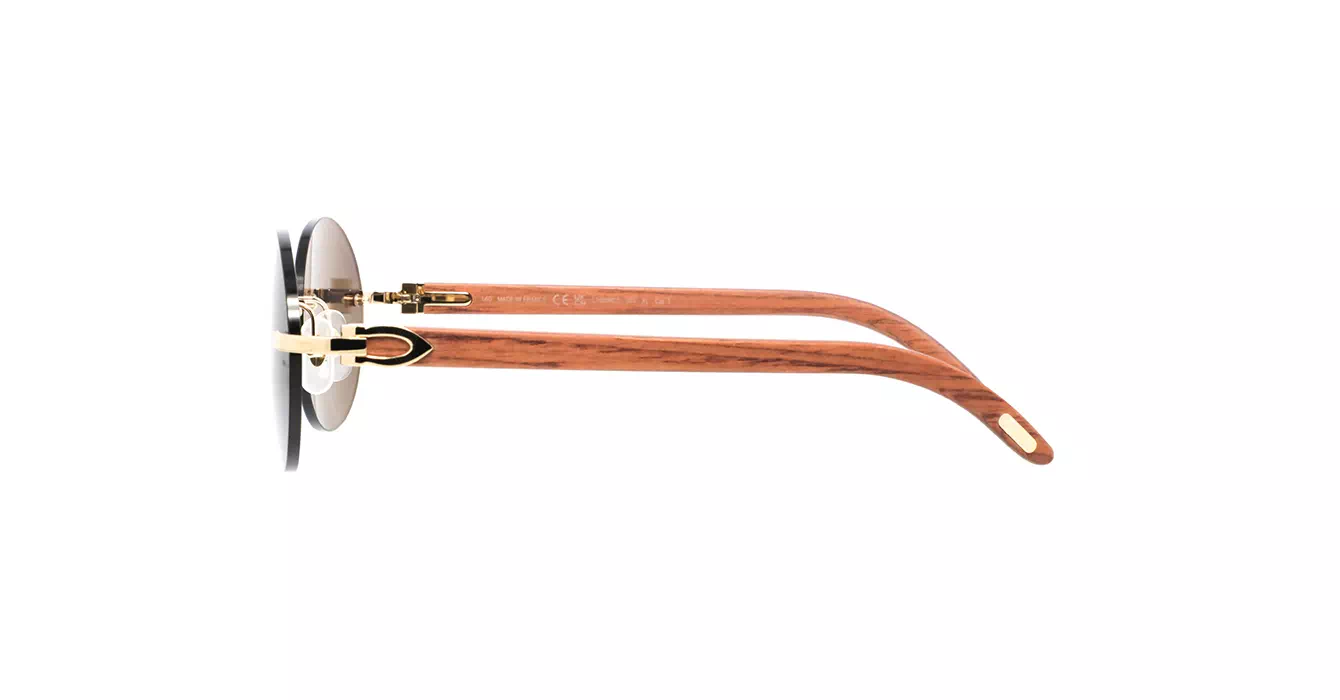 Cartier CT0008CS 033 s58