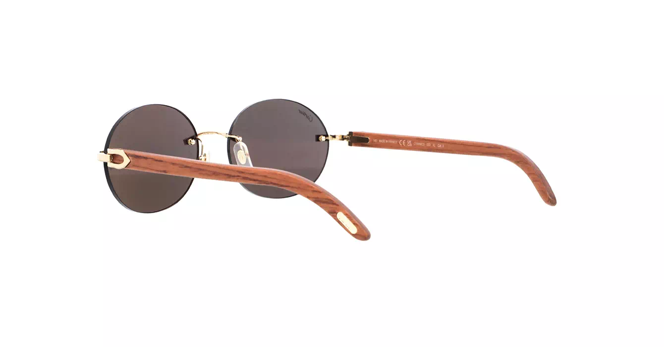 Cartier CT0008CS 033 s58