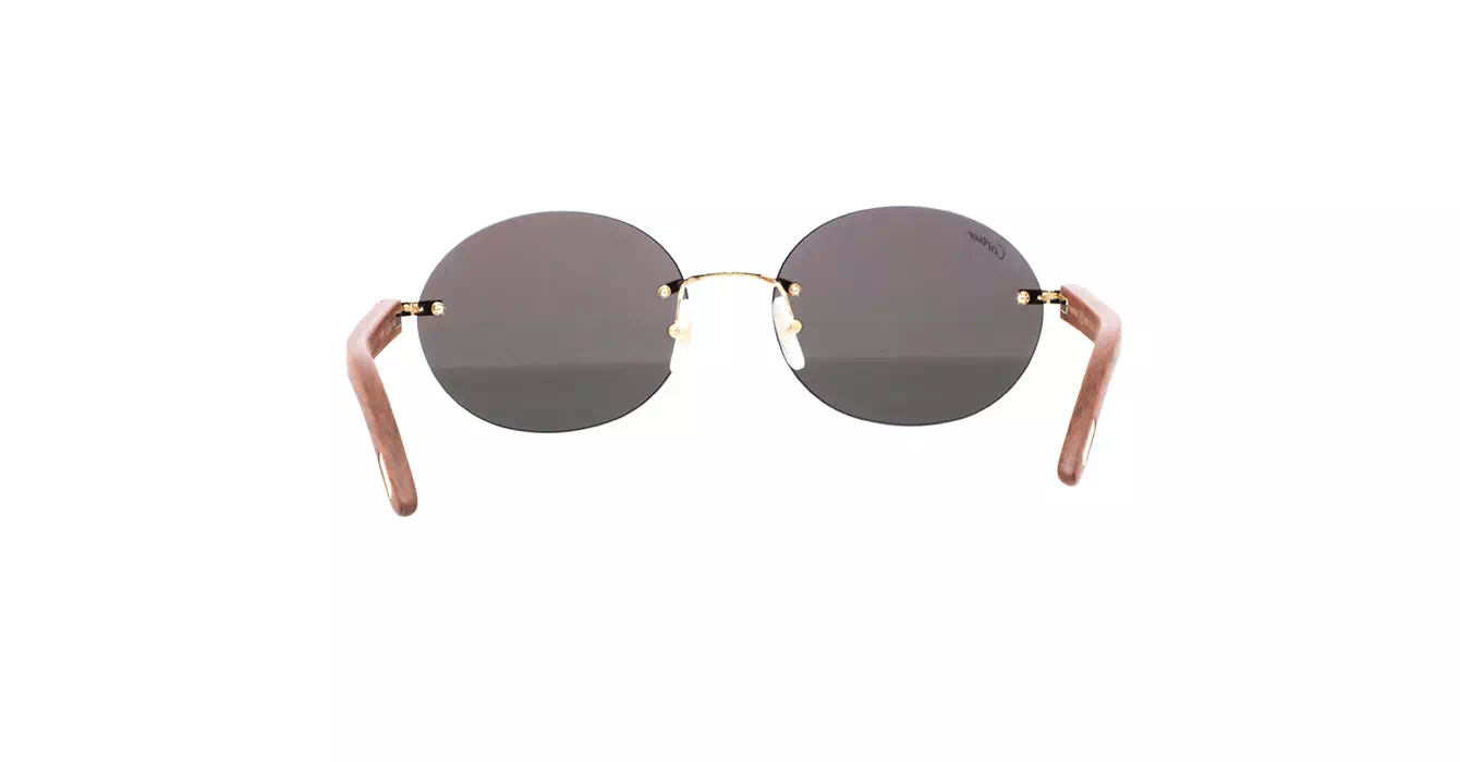 Cartier CT0008CS 033 s58