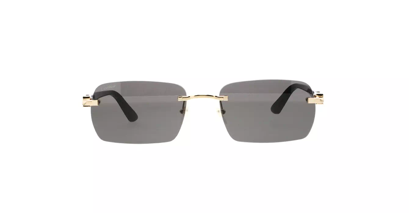 Cartier CT0006CS 033 s59