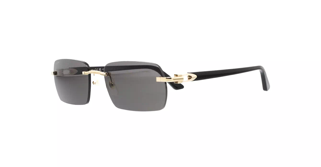Cartier CT0006CS 033 s59