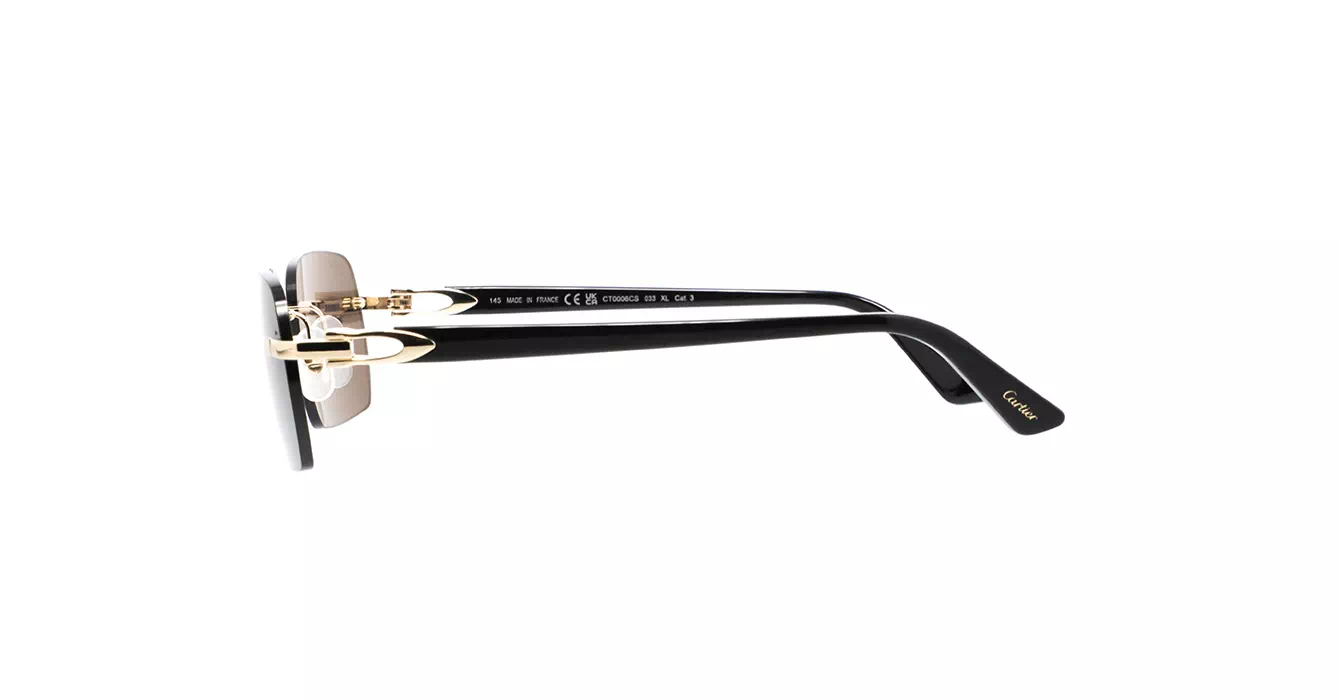 Cartier CT0006CS 033 s59