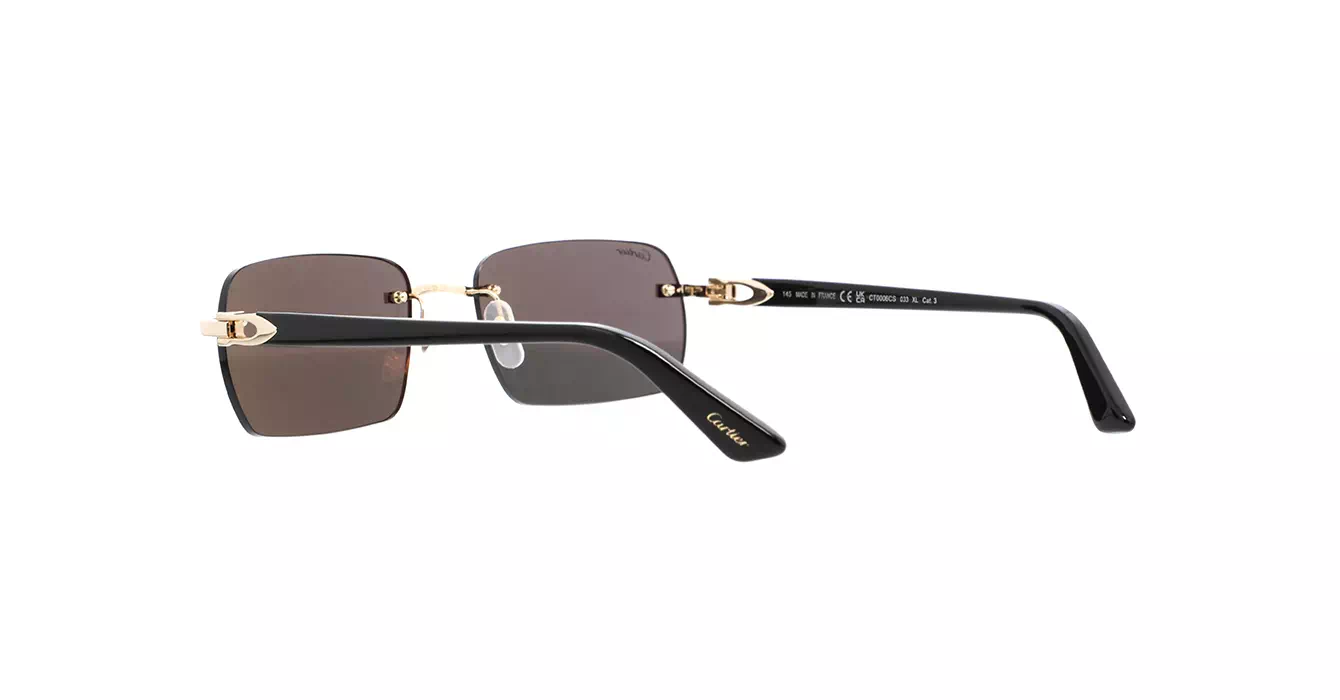 Cartier CT0006CS 033 s59