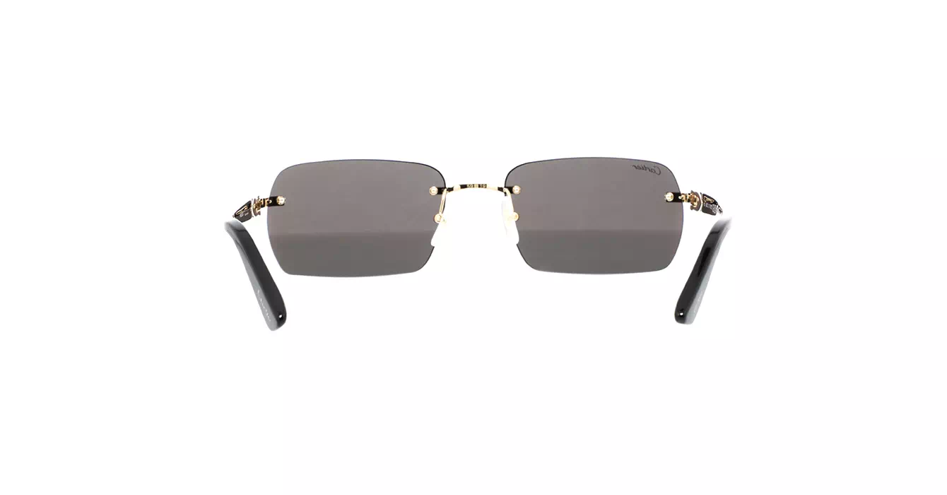 Cartier CT0006CS 033 s59