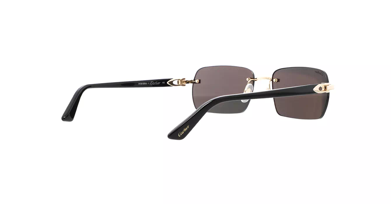 Cartier CT0006CS 033 s59
