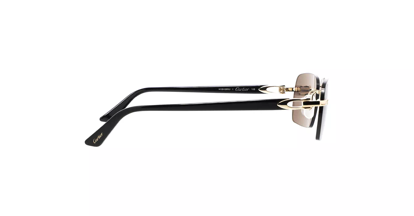 Cartier CT0006CS 033 s59