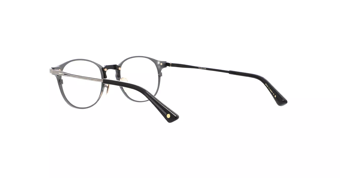 Dita DTX166-A 01 RADICON s48