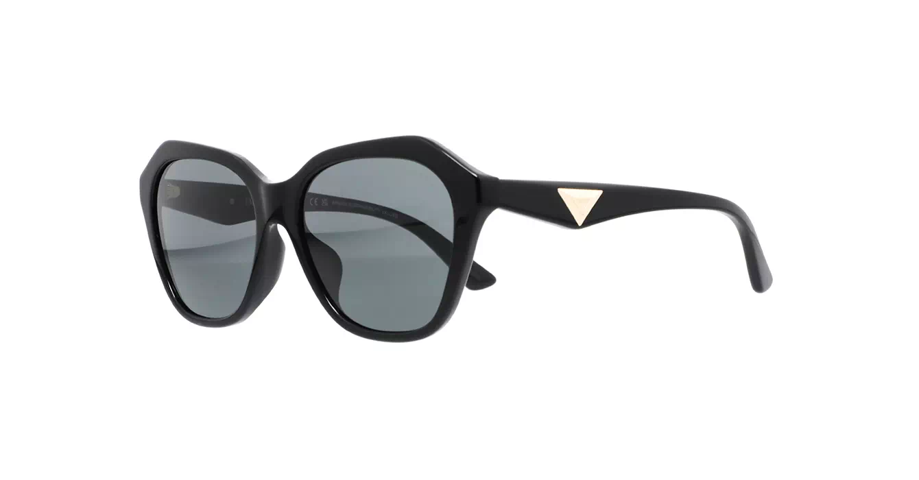 Emporio Armani EA4221F 5017/87 s56