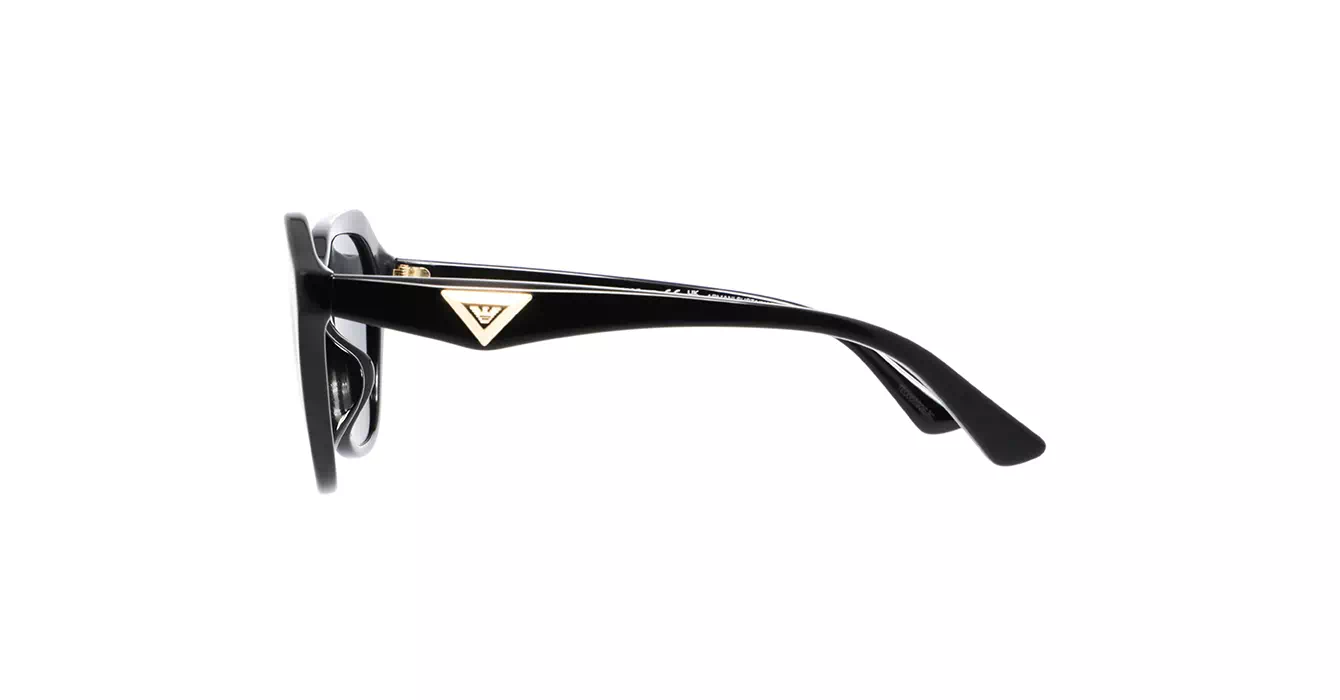 Emporio Armani EA4221F 5017/87 s56
