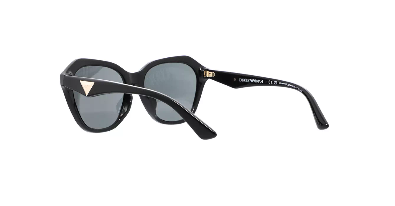 Emporio Armani EA4221F 5017/87 s56