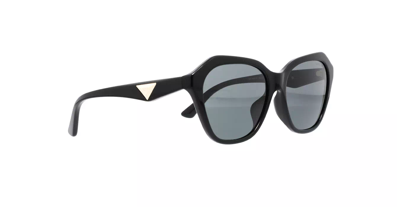 Emporio Armani EA4221F 5017/87 s56