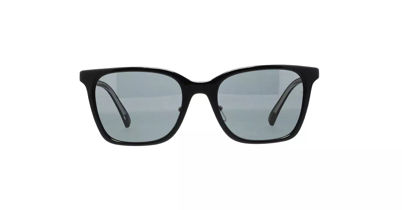 Emporio Armani EA4226D 5017/87 s55