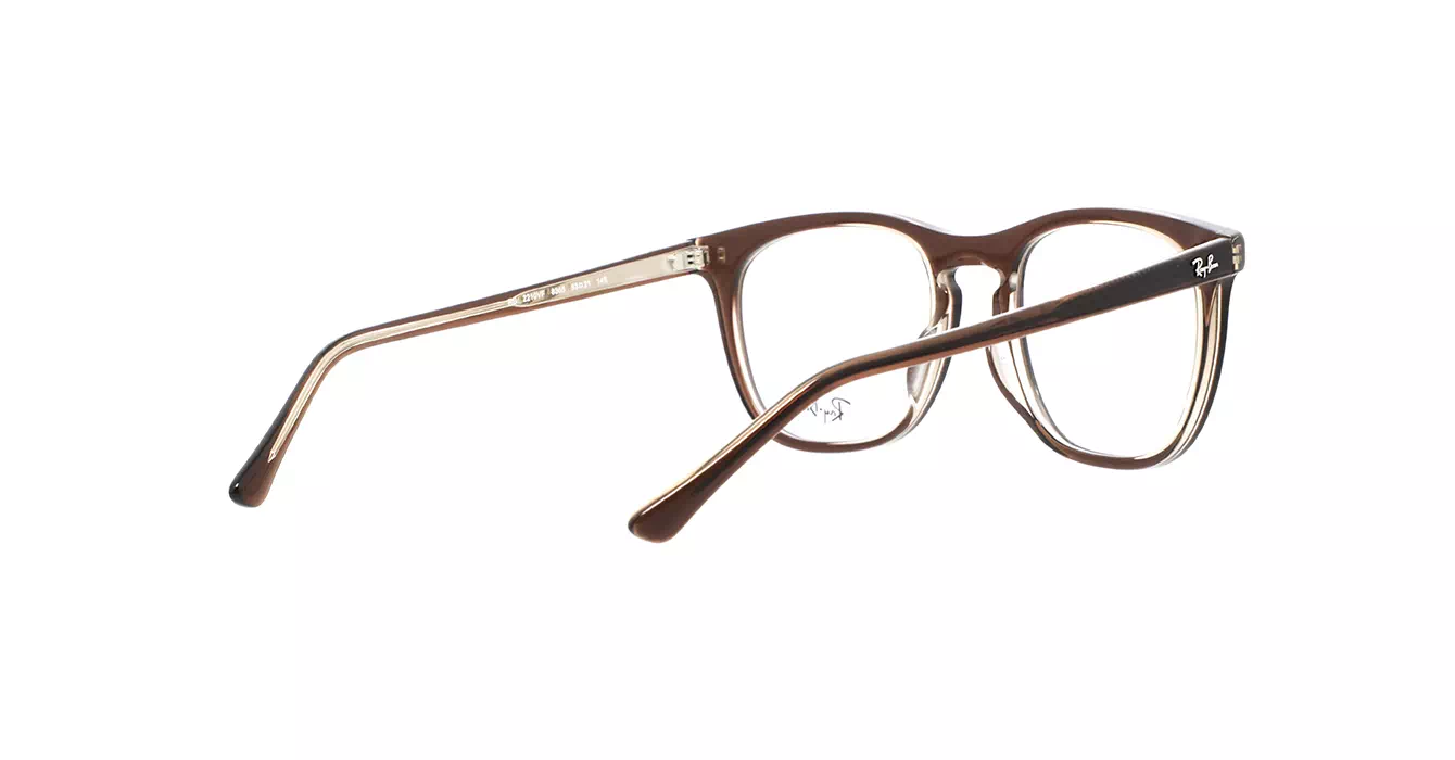 Ray-Ban RB2210VF 8365 s53