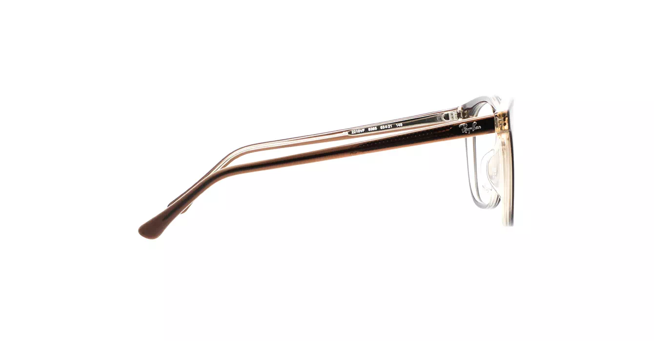 Ray-Ban RB2210VF 8365 s53