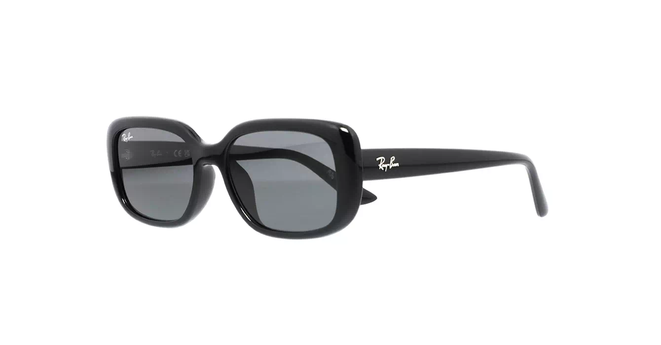 Ray-Ban RB4421D 6677/87 s56