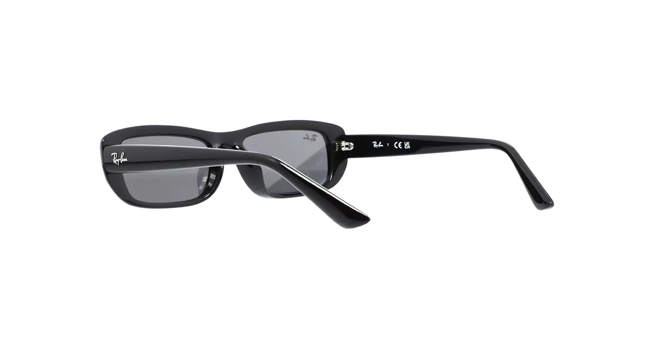 Ray-Ban RB4436D 6677/87 s55