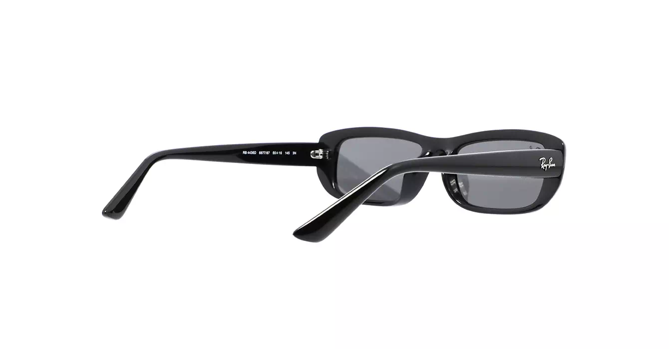 Ray-Ban RB4436D 6677/87 s55