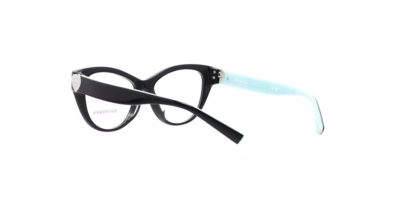 Tiffany&Co TF2251-F 8406 s51