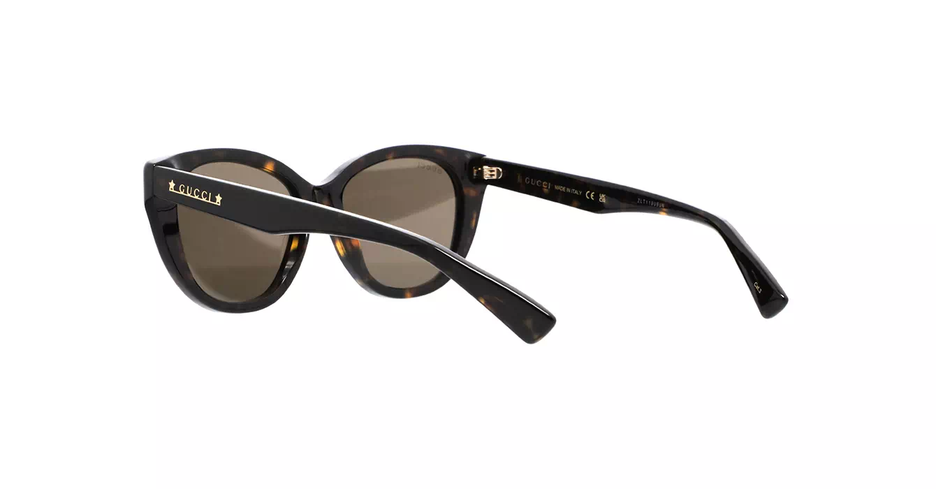 Gucci GG1588S 002 s54