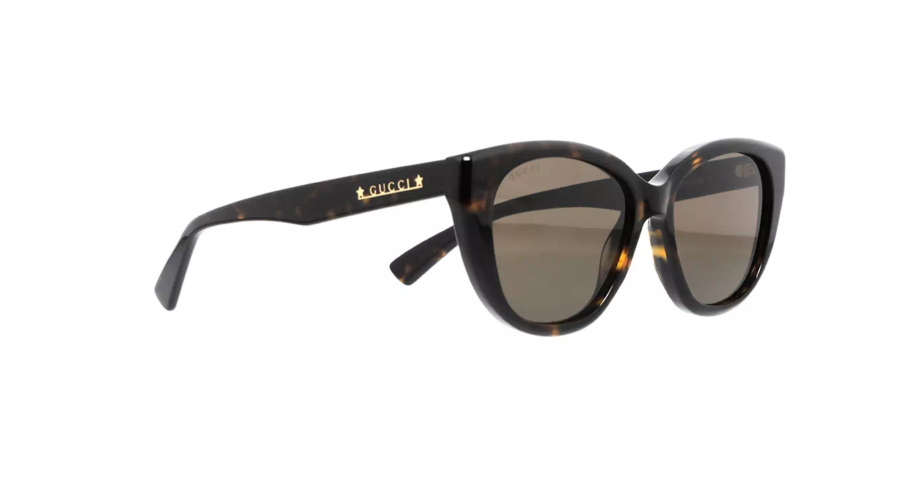Gucci GG1588S 002 s54