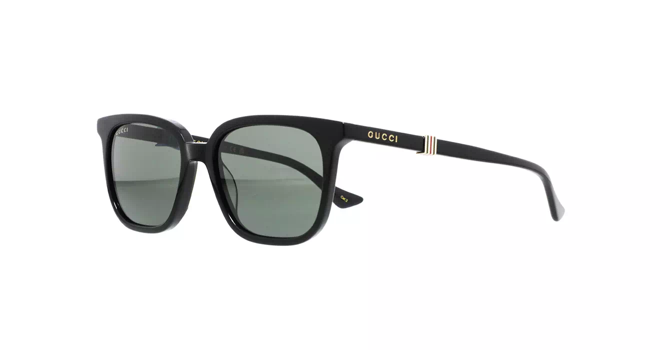 Gucci GG1493S 001 s54