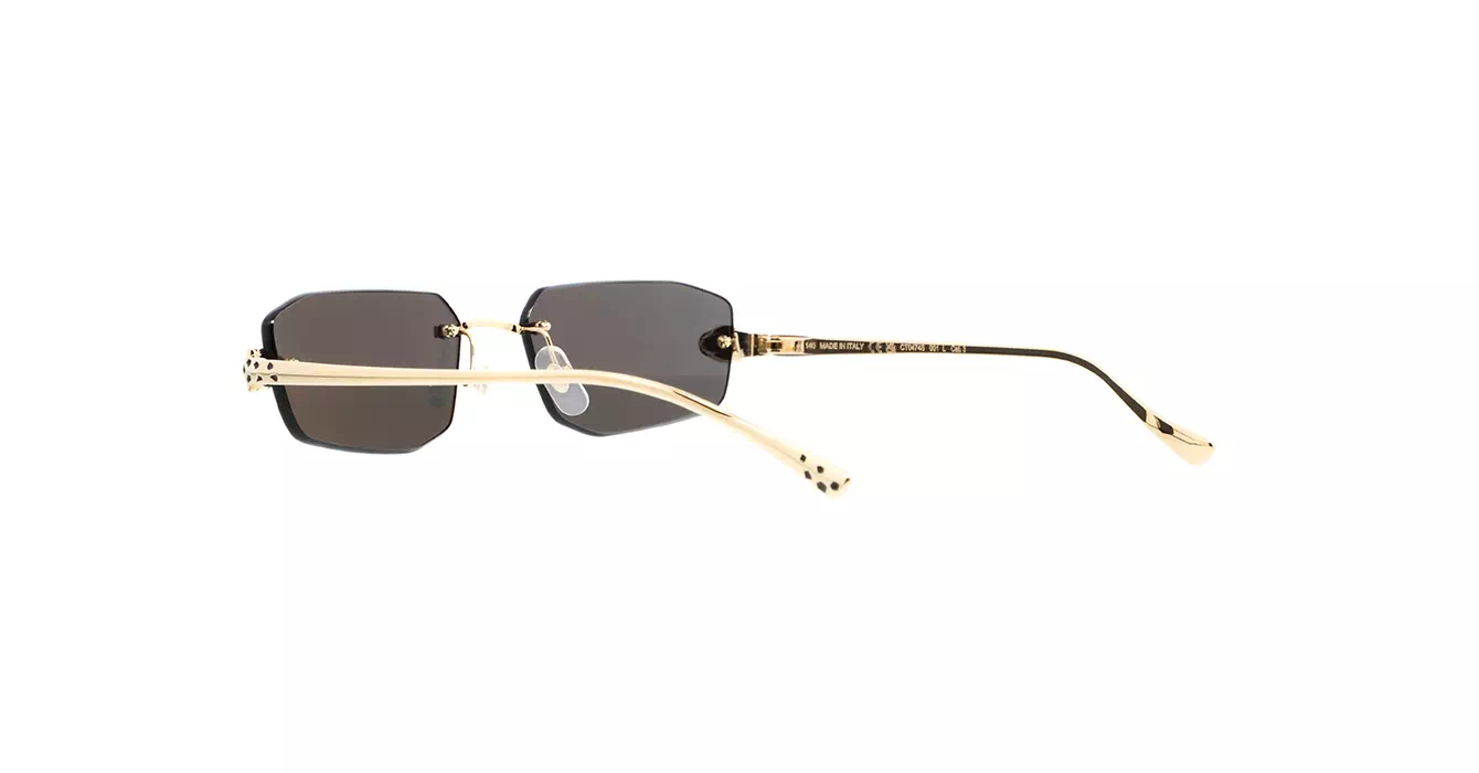 Cartier CT0474S 001 s56