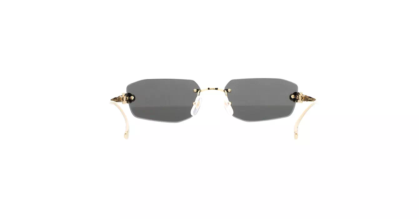 Cartier CT0474S 001 s56