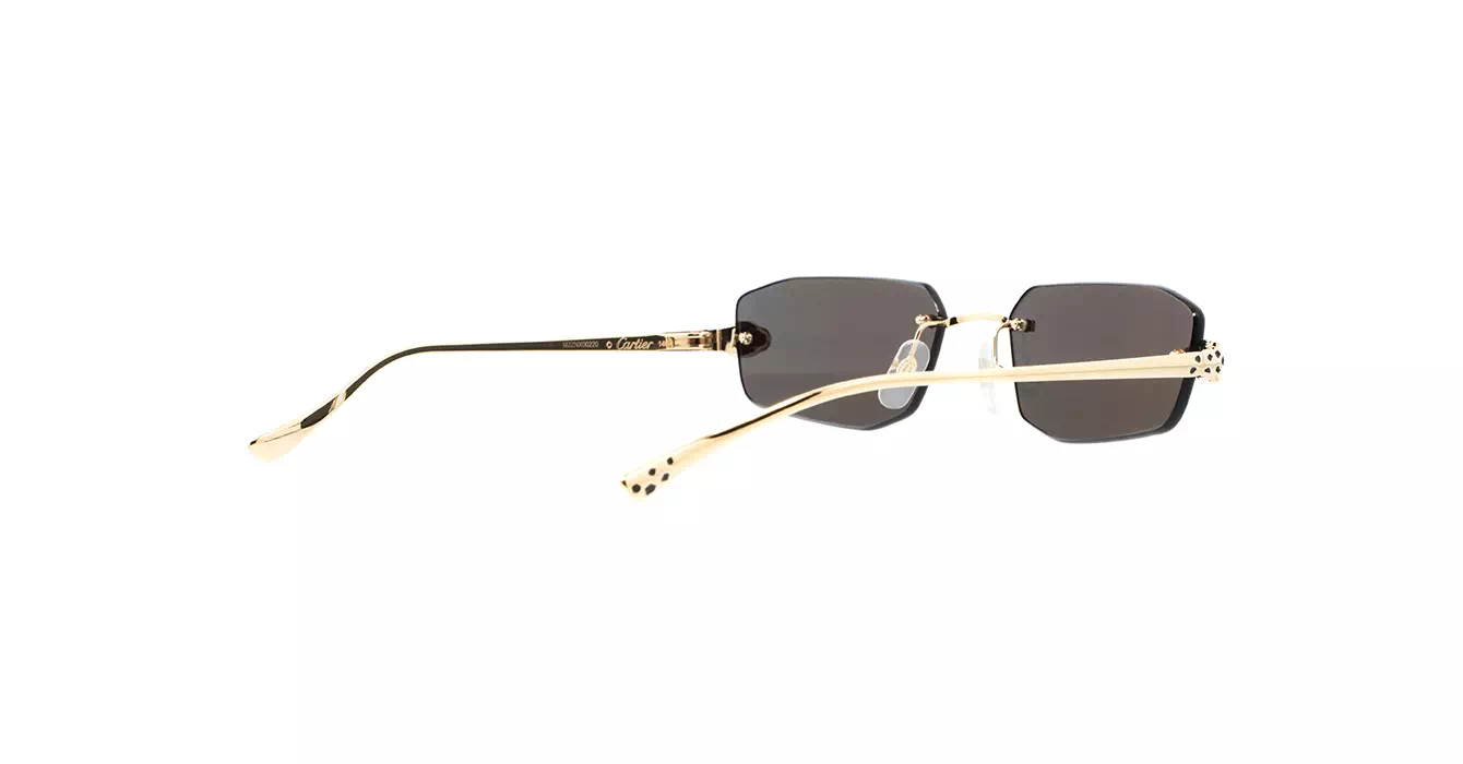 Cartier CT0474S 001 s56