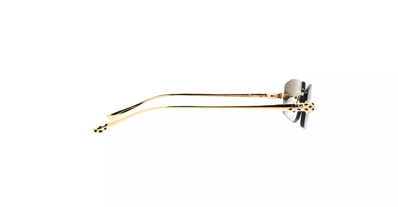 Cartier CT0474S 001 s56