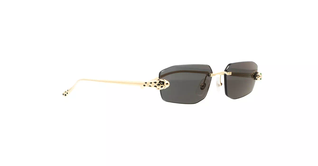 Cartier CT0474S 001 s56