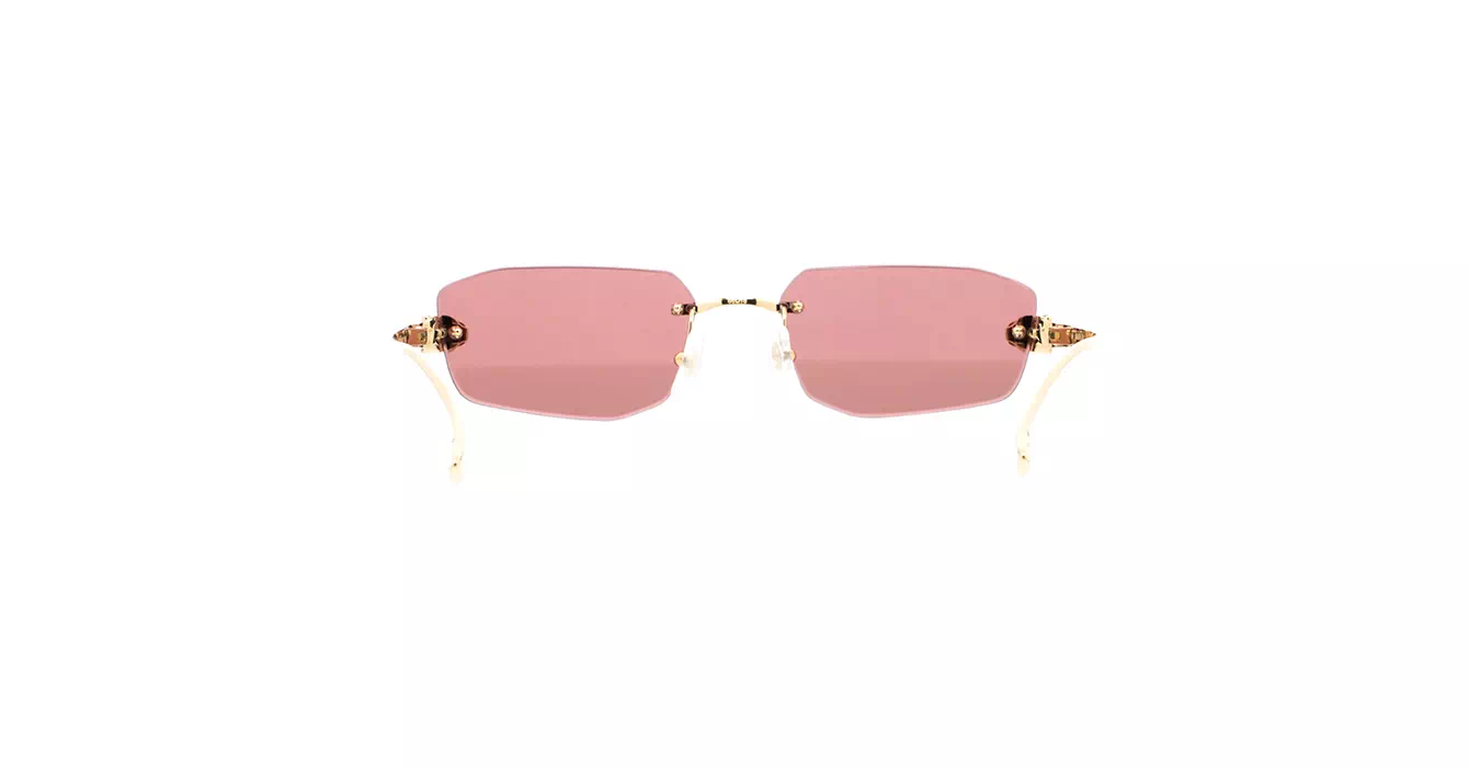 Cartier CT0474S 002 s56