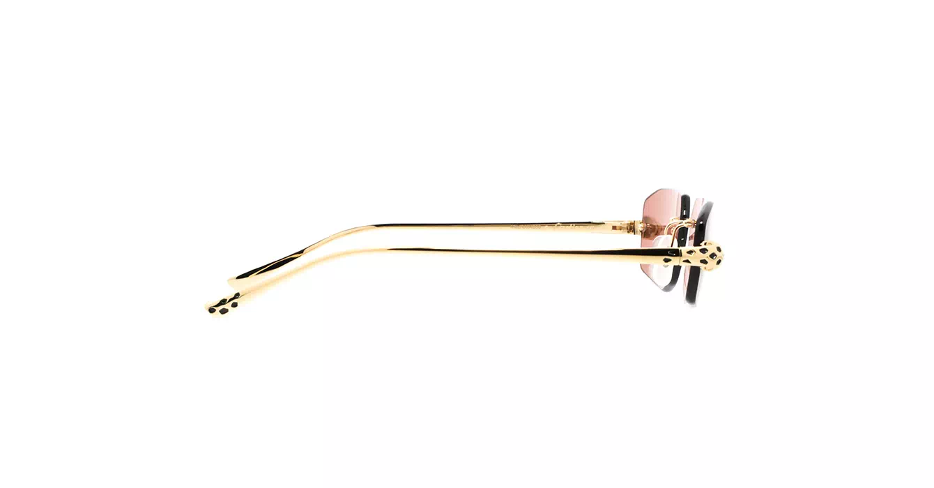Cartier CT0474S 002 s56