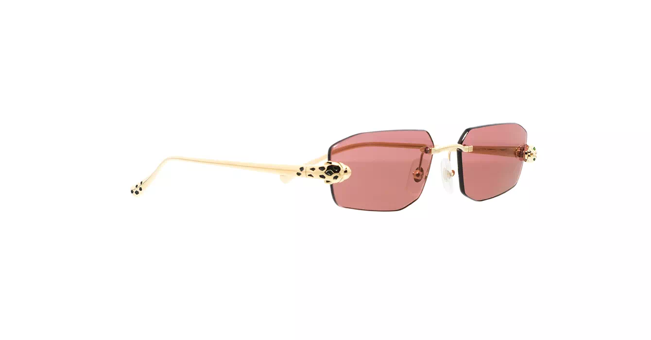 Cartier CT0474S 002 s56