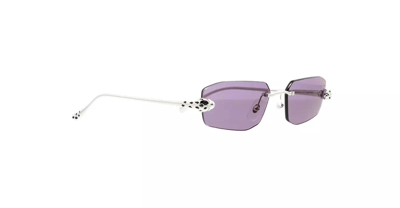 Cartier CT0474S 004 s56