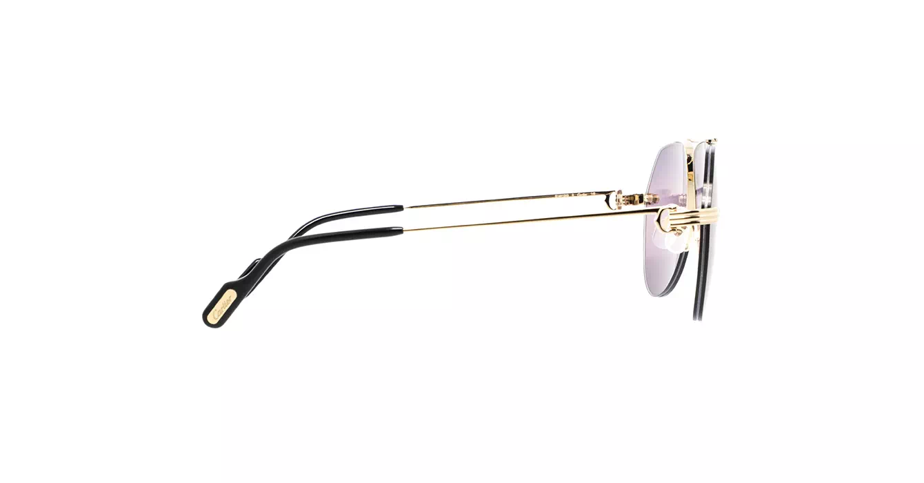 Cartier CT0427S 008 s60