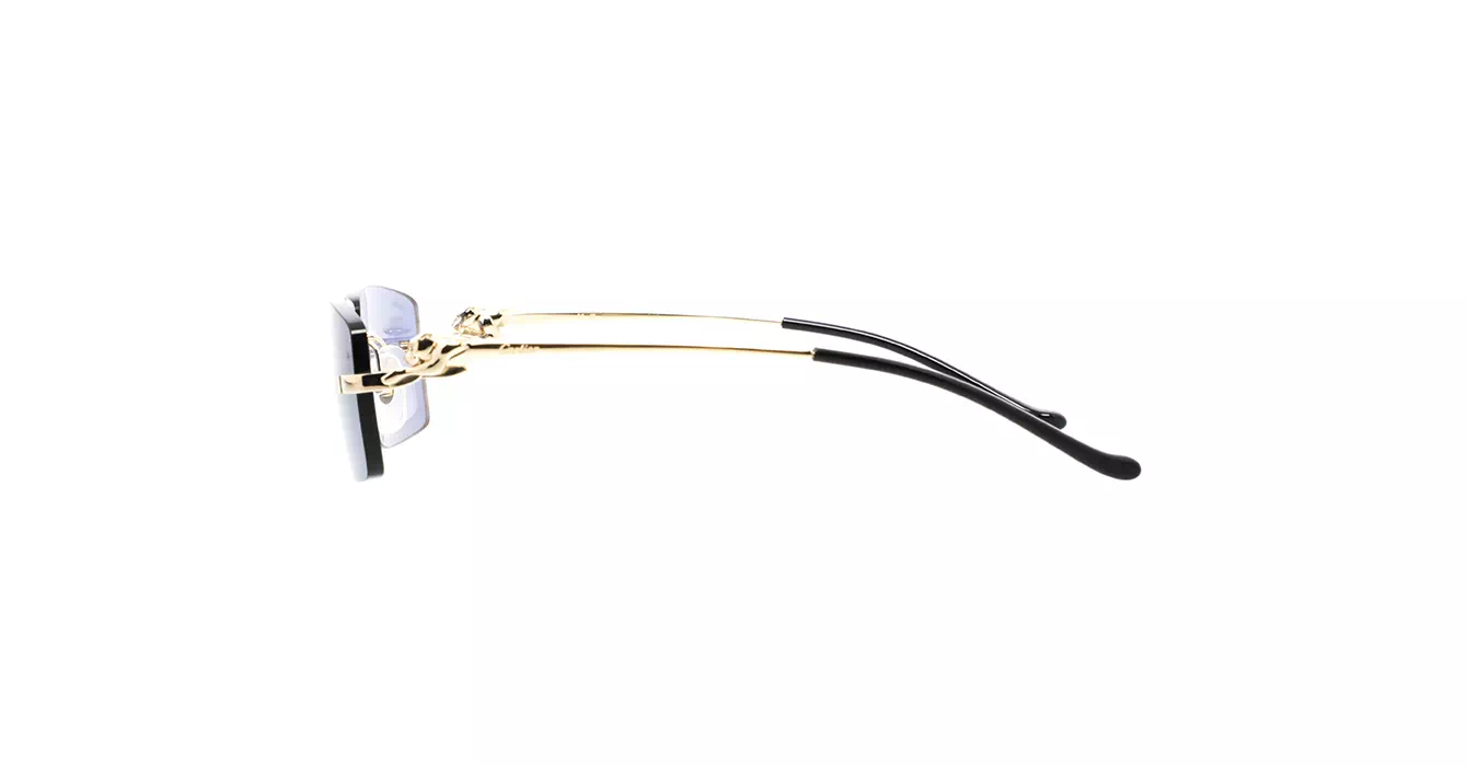 Cartier CT0430S 004 s58