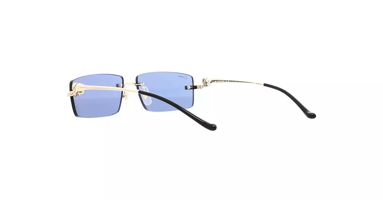 Cartier CT0430S 004 s58