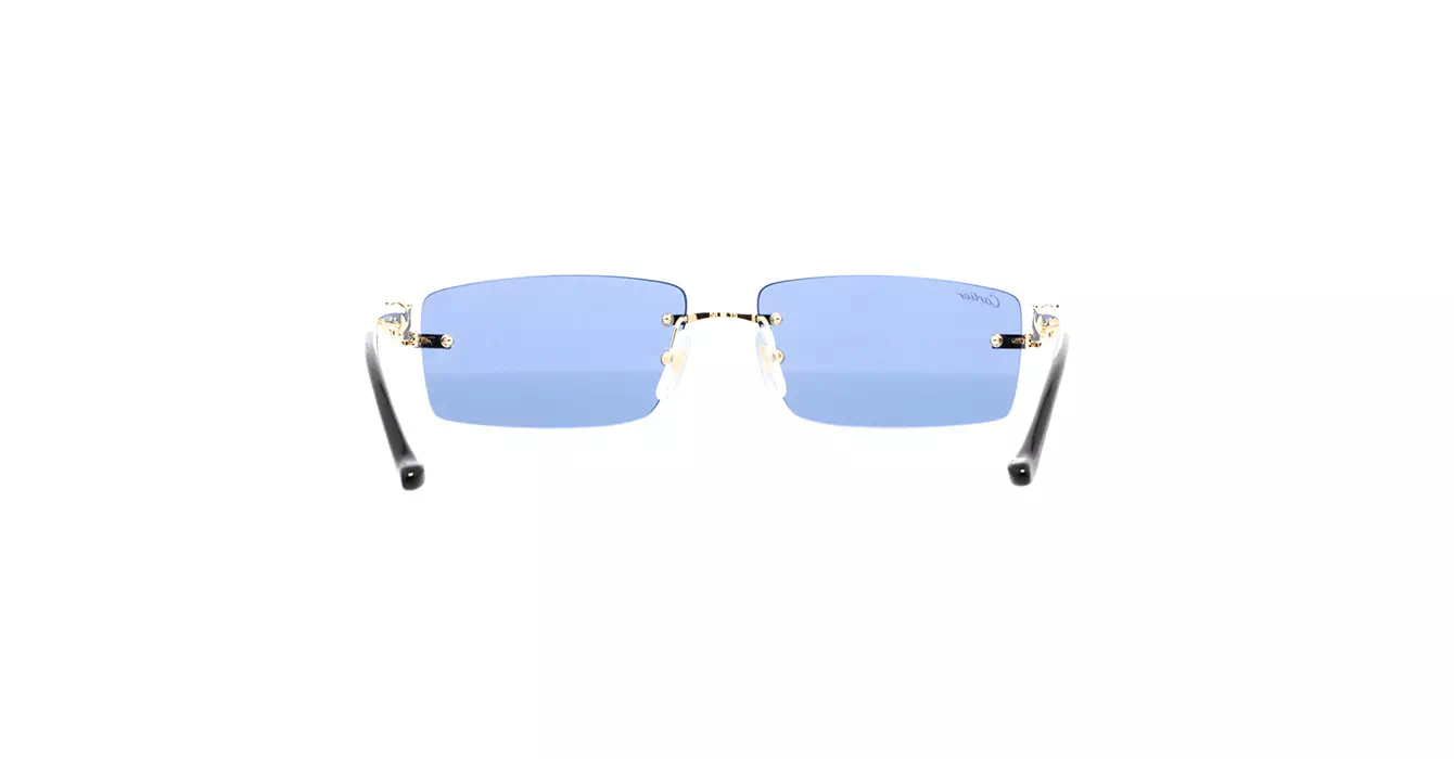 Cartier CT0430S 004 s58