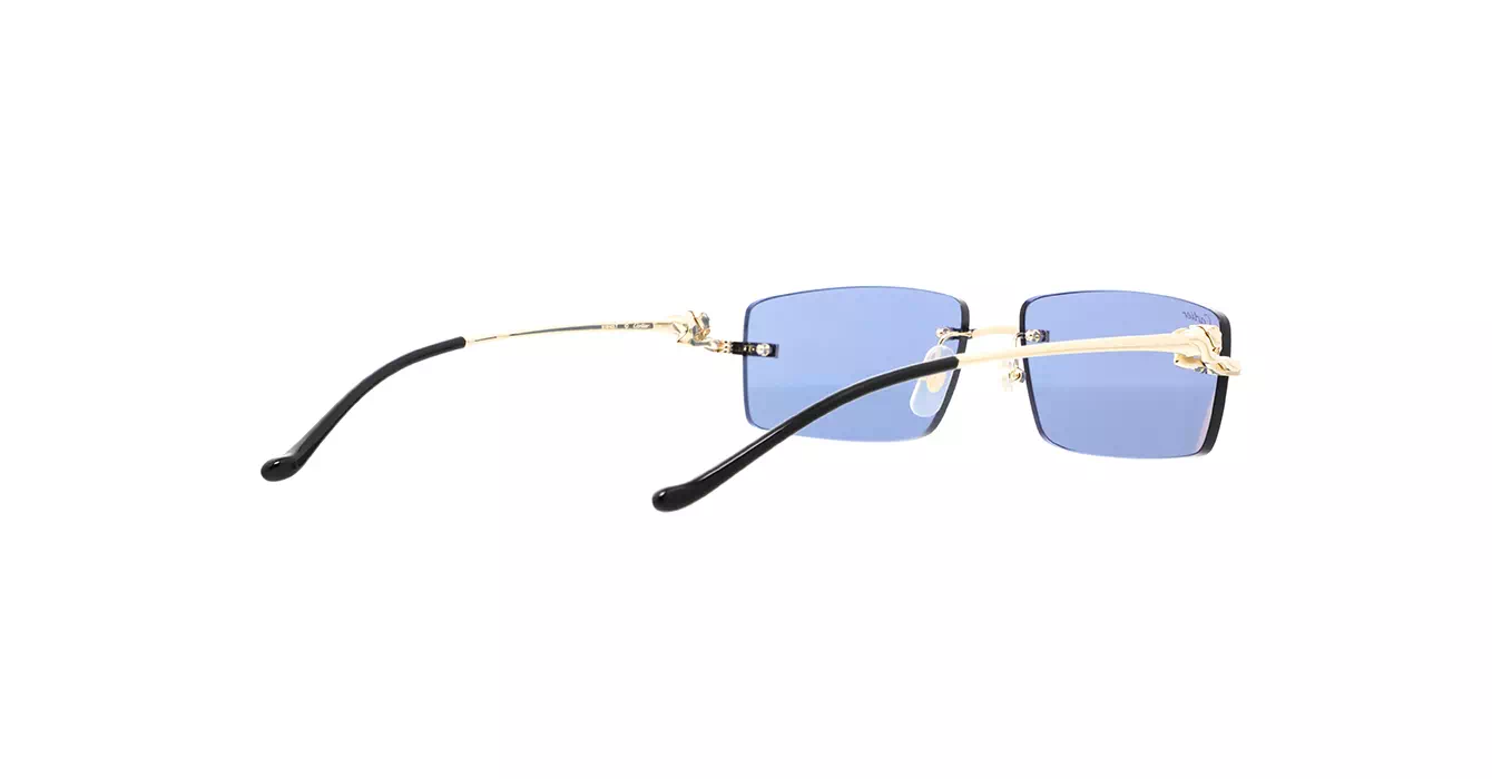 Cartier CT0430S 004 s58