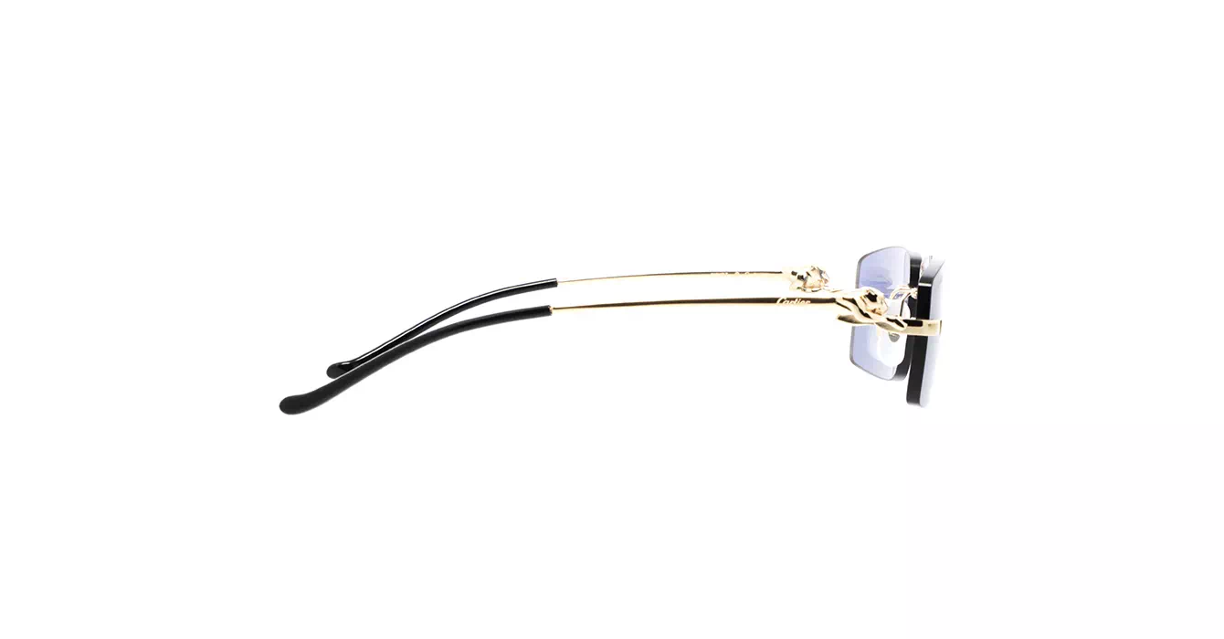 Cartier CT0430S 004 s58
