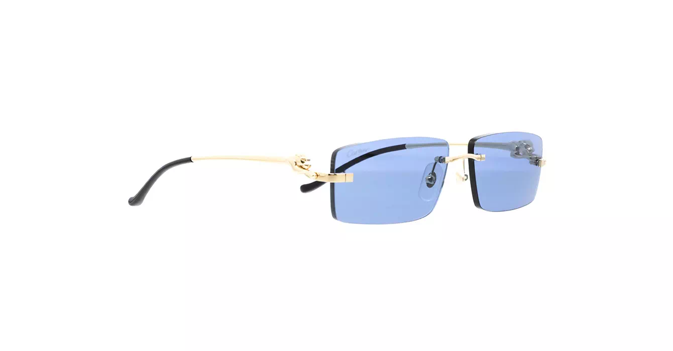 Cartier CT0430S 004 s58