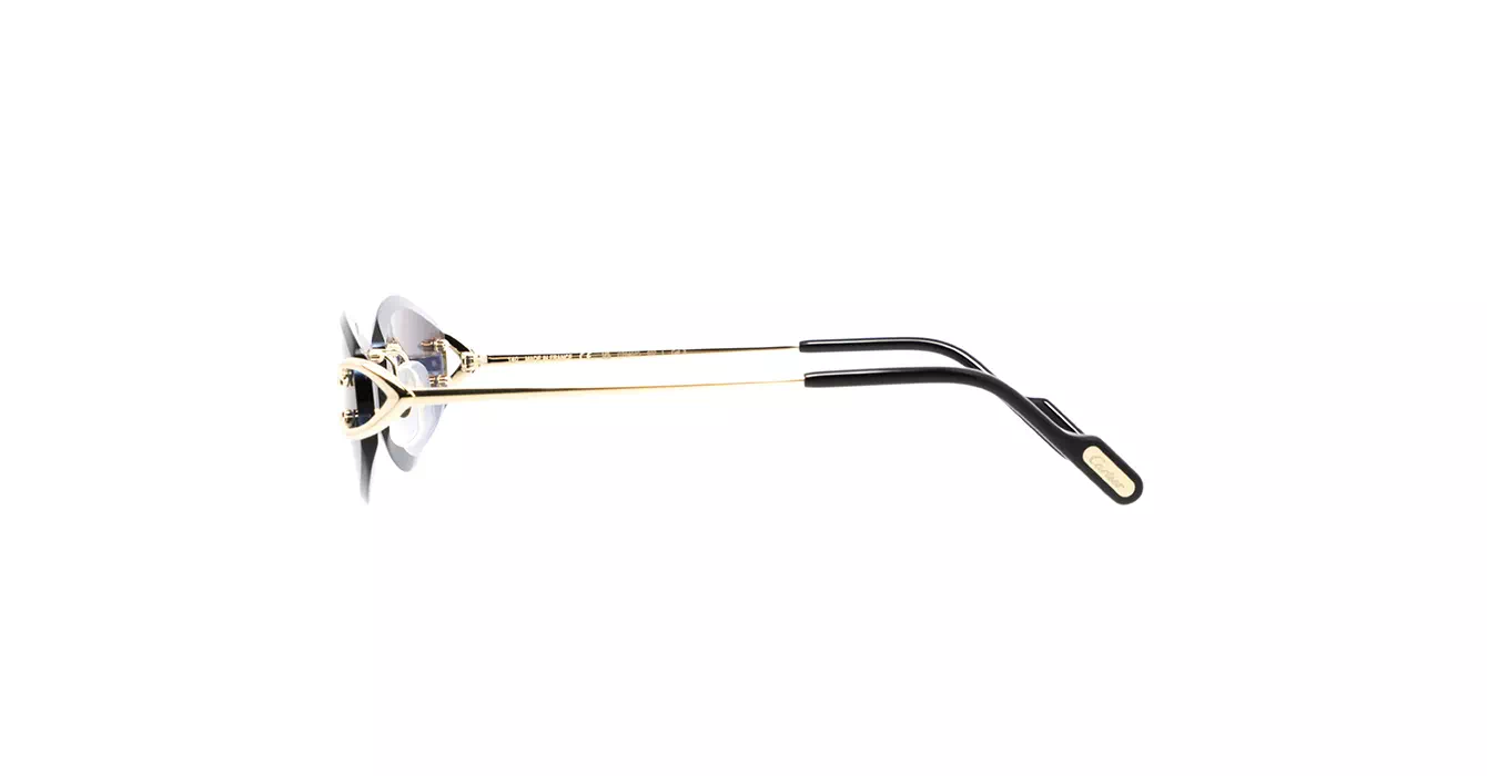 Cartier CT0467S 002 s57