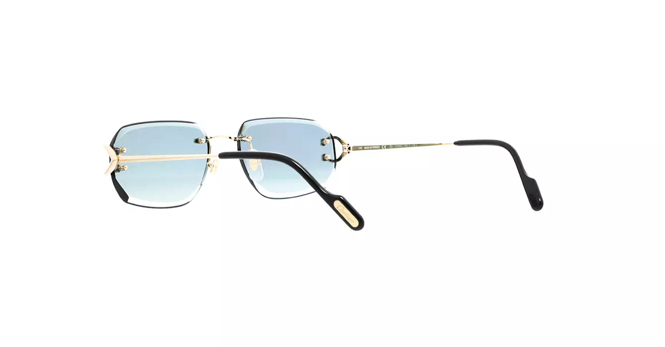 Cartier CT0468S 003 s58
