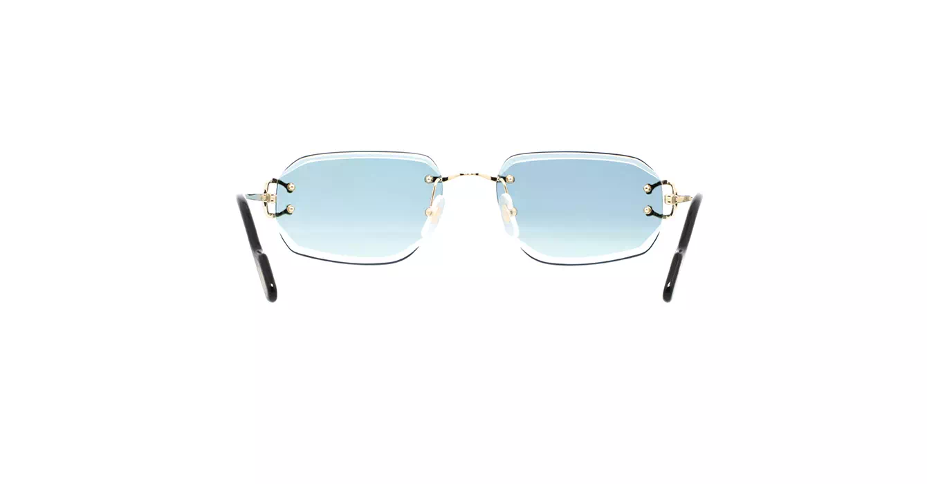 Cartier CT0468S 003 s58