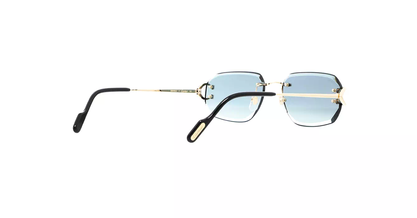 Cartier CT0468S 003 s58