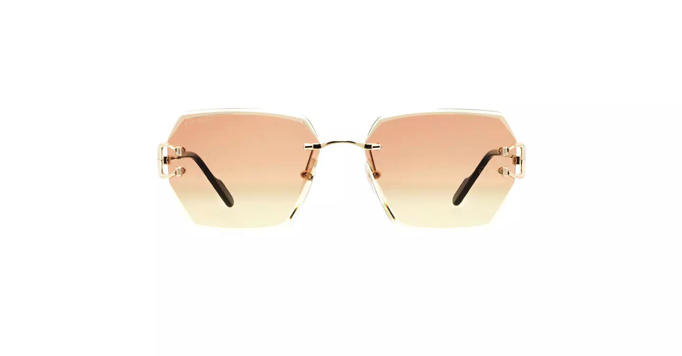 Cartier CT0466S 004 s58