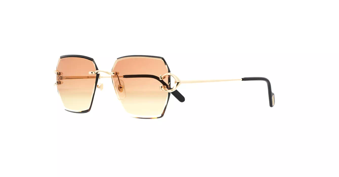 Cartier CT0466S 004 s58